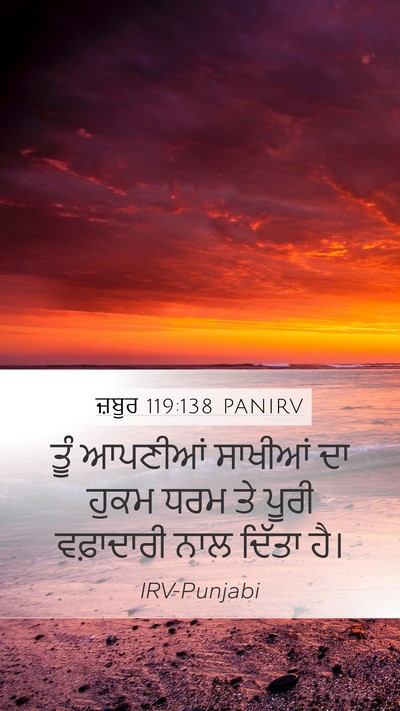 ਜ਼ਬੂਰ 119:138 PANIRV Bible Verse Image