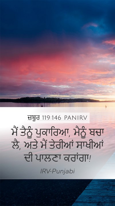 ਜ਼ਬੂਰ 119:146 PANIRV Mobile Phone Wallpaper - ਮੈਂ ਤੈਨੂੰ ਪੁਕਾਰਿਆ, - Mobile Bible Verse Wallpaper