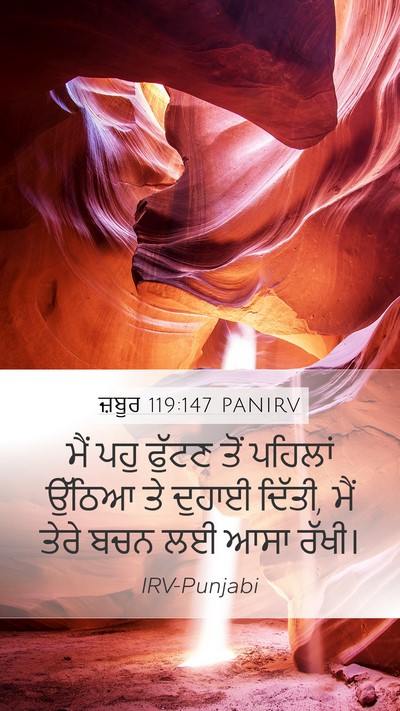 ਜ਼ਬੂਰ 119:147 PANIRV Bible Verse Image
