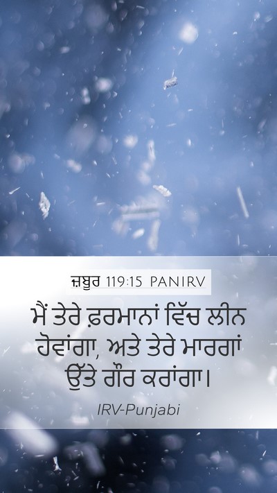 ਜ਼ਬੂਰ 119:15 PANIRV Bible Verse Image