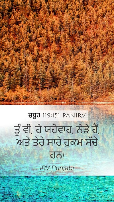 ਜ਼ਬੂਰ 119:151 PANIRV Bible Verse Image