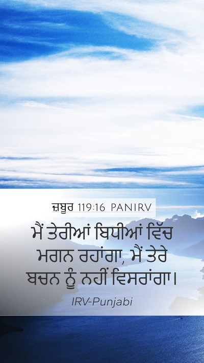 ਜ਼ਬੂਰ 119:16 PANIRV Bible Verse Image