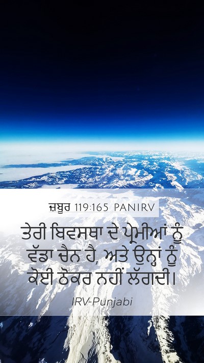 ਜ਼ਬੂਰ 119:165 PANIRV Bible Verse Image