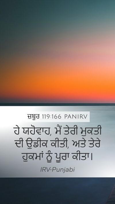 ਜ਼ਬੂਰ 119:166 PANIRV Bible Verse Image