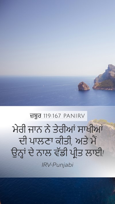 ਜ਼ਬੂਰ 119:167 PANIRV Bible Verse Image