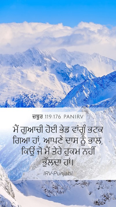 ਜ਼ਬੂਰ 119:176 PANIRV Bible Verse Image