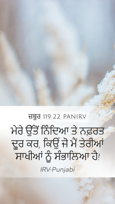 ਜ਼ਬੂਰ 119:22 PANIRV Bible Verse Image