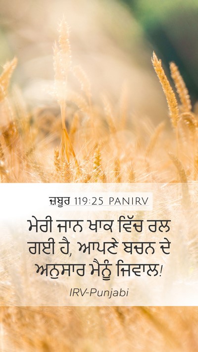 ਜ਼ਬੂਰ 119:25 PANIRV Bible Verse Image