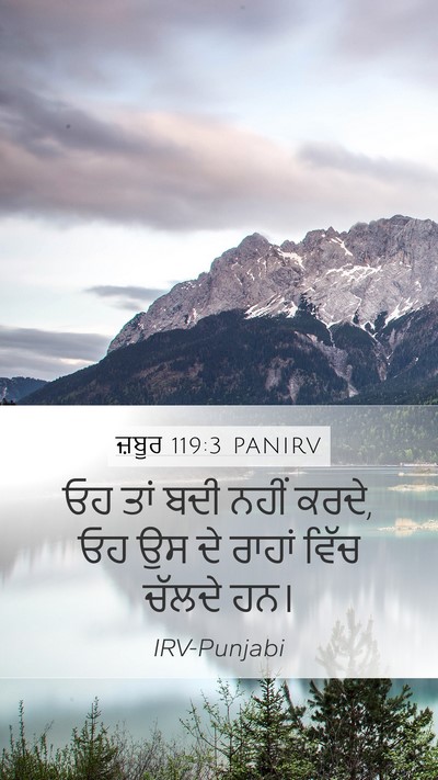 ਜ਼ਬੂਰ 119:3 PANIRV Bible Verse Image