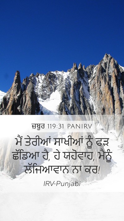 ਜ਼ਬੂਰ 119:31 PANIRV Bible Verse Image