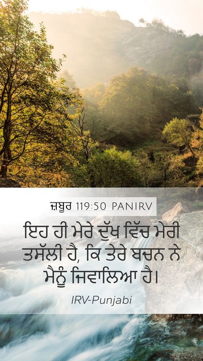 ਜ਼ਬੂਰ 119:50 PANIRV Mobile Phone Wallpaper - ਇਹ ਹੀ ਮੇਰੇ ਦੁੱਖ - Mobile Bible Verse Wallpaper