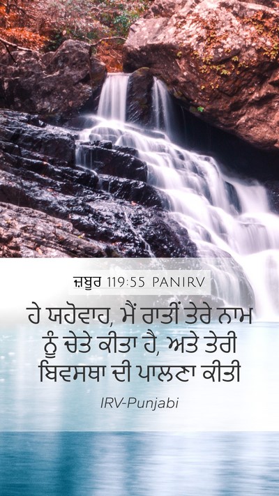 ਜ਼ਬੂਰ 119:55 PANIRV Bible Verse Image