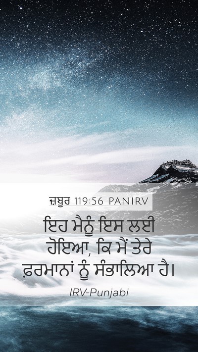 ਜ਼ਬੂਰ 119:56 PANIRV Mobile Phone Wallpaper - ਇਹ ਮੈਨੂੰ ਇਸ ਲਈ - Mobile Bible Verse Wallpaper