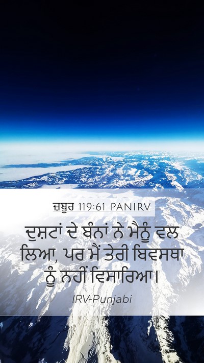 ਜ਼ਬੂਰ 119:61 PANIRV Bible Verse Image
