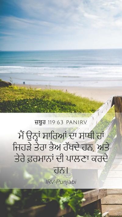 ਜ਼ਬੂਰ 119:63 PANIRV Bible Verse Image