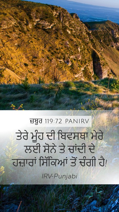 ਜ਼ਬੂਰ 119:72 PANIRV Bible Verse Image