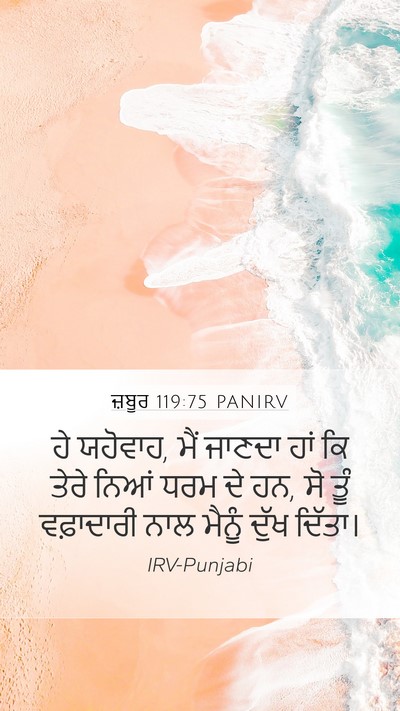 ਜ਼ਬੂਰ 119:75 PANIRV Bible Verse Image