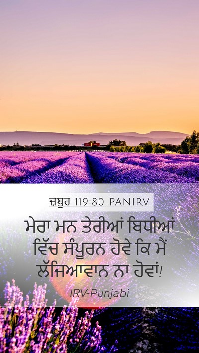 ਜ਼ਬੂਰ 119:80 PANIRV Bible Verse Image