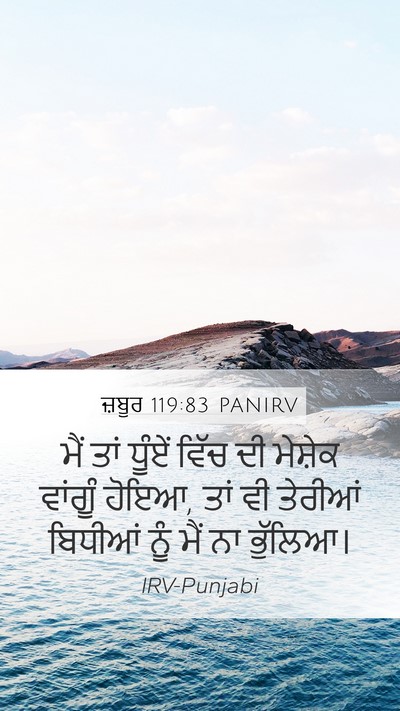 ਜ਼ਬੂਰ 119:83 PANIRV Bible Verse Image