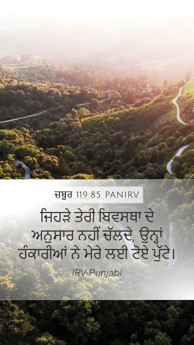 ਜ਼ਬੂਰ 119:85 PANIRV Bible Verse Image