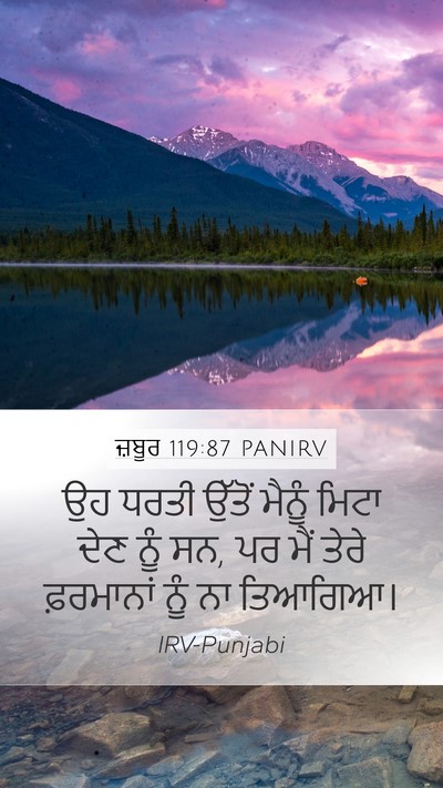 ਜ਼ਬੂਰ 119:87 PANIRV Mobile Phone Wallpaper - ਉਹ ਧਰਤੀ ਉੱਤੋਂ - Mobile Bible Verse Wallpaper