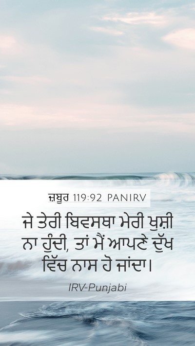 ਜ਼ਬੂਰ 119:92 PANIRV Bible Verse Image