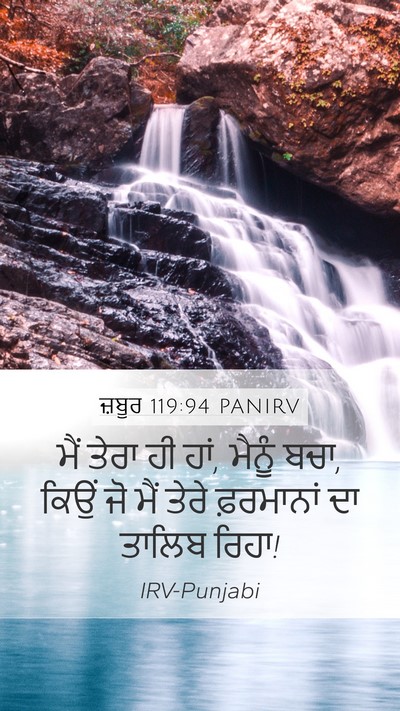 ਜ਼ਬੂਰ 119:94 PANIRV Bible Verse Image