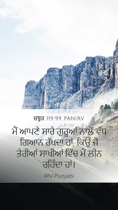 ਜ਼ਬੂਰ 119:99 PANIRV Bible Verse Image