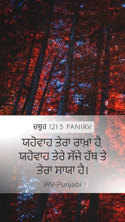 ਜ਼ਬੂਰ 121:5 PANIRV Bible Verse Image