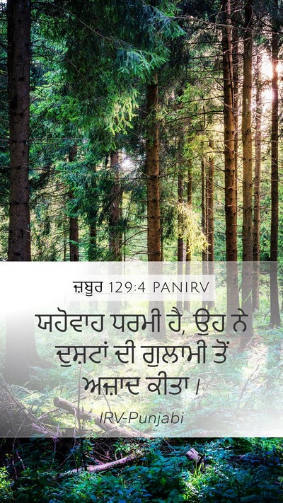 ਜ਼ਬੂਰ 129:4 PANIRV Mobile Phone Wallpaper - ਯਹੋਵਾਹ ਧਰਮੀ ਹੈ, ਉਹ - Mobile Bible Verse Wallpaper