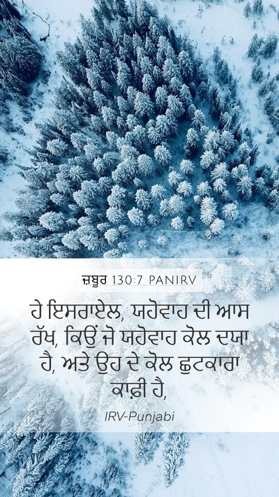 ਜ਼ਬੂਰ 130:7 PANIRV Bible Verse Image