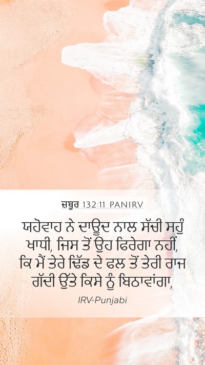 ਜ਼ਬੂਰ 132:11 PANIRV Bible Verse Image
