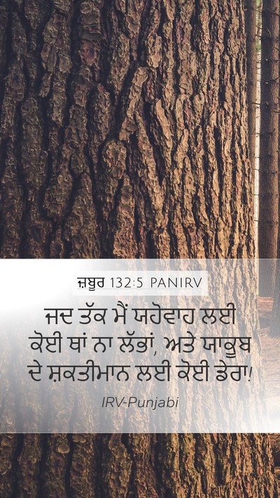 ਜ਼ਬੂਰ 132:5 PANIRV Bible Verse Image