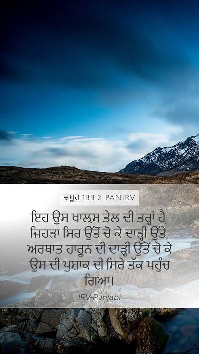 ਜ਼ਬੂਰ 133:2 PANIRV Bible Verse Image