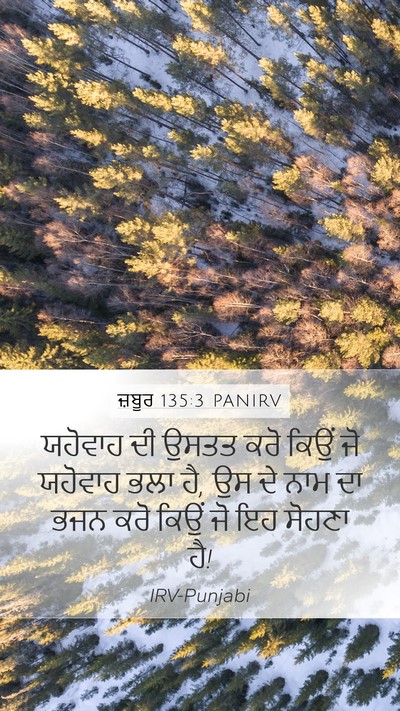 ਜ਼ਬੂਰ 135:3 PANIRV Bible Verse Image