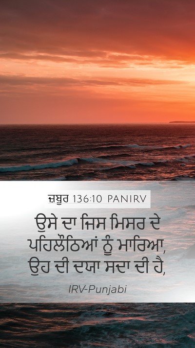 ਜ਼ਬੂਰ 136:10 PANIRV Bible Verse Image