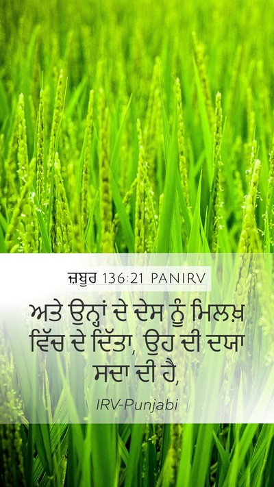 ਜ਼ਬੂਰ 136:21 PANIRV Bible Verse Image