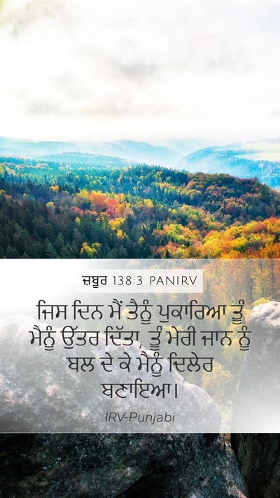 ਜ਼ਬੂਰ 138:3 PANIRV Bible Verse Image