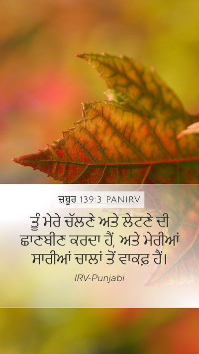 ਜ਼ਬੂਰ 139:3 PANIRV Mobile Phone Wallpaper - ਤੂੰ ਮੇਰੇ ਚੱਲਣੇ ਅਤੇ - Mobile Bible Verse Wallpaper