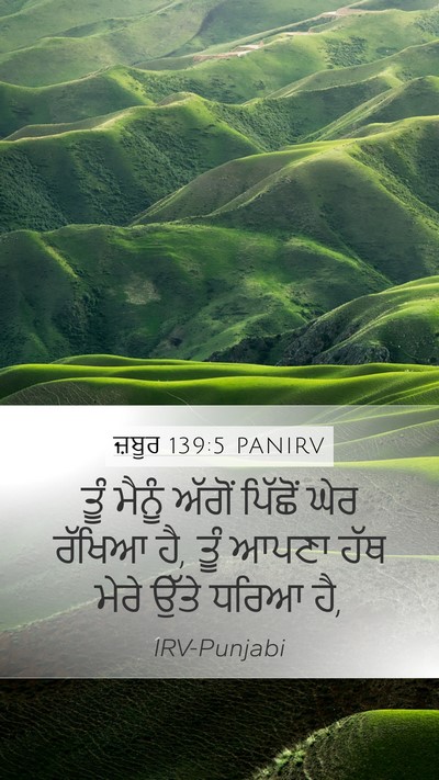 ਜ਼ਬੂਰ 139:5 PANIRV Mobile Phone Wallpaper - ਤੂੰ ਮੈਨੂੰ ਅੱਗੋਂ - Mobile Bible Verse Wallpaper