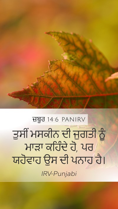 ਜ਼ਬੂਰ 14:6 PANIRV Mobile Phone Wallpaper - ਤੁਸੀਂ ਮਸਕੀਨ ਦੀ - Mobile Bible Verse Wallpaper