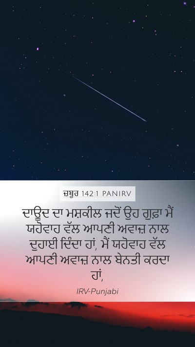 ਜ਼ਬੂਰ 142:1 PANIRV Bible Verse Image