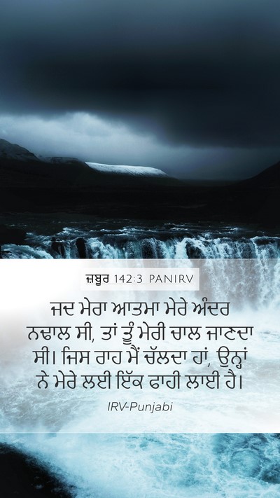 ਜ਼ਬੂਰ 142:3 PANIRV Bible Verse Image