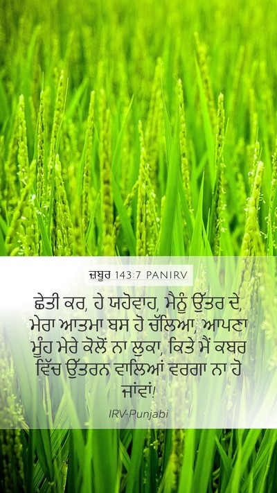 ਜ਼ਬੂਰ 143:7 PANIRV Bible Verse Image