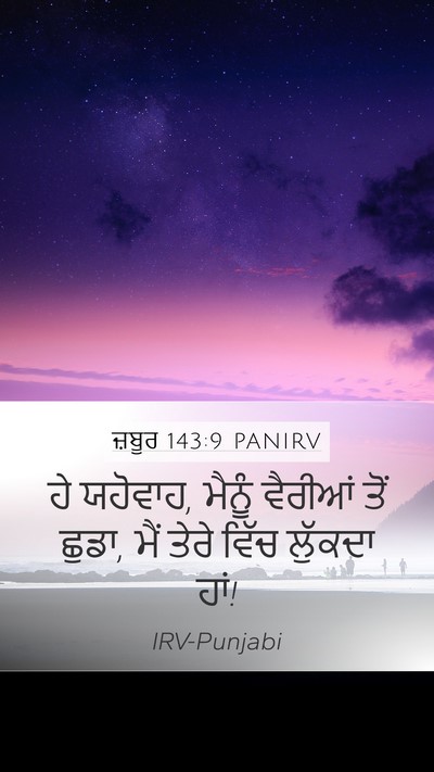 ਜ਼ਬੂਰ 143:9 PANIRV Bible Verse Image