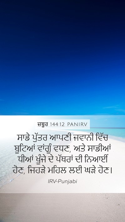 ਜ਼ਬੂਰ 144:12 PANIRV Bible Verse Image