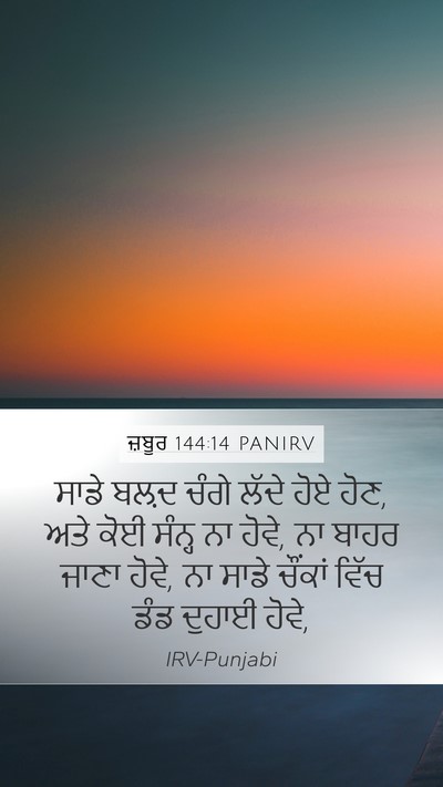 ਜ਼ਬੂਰ 144:14 PANIRV Mobile Phone Wallpaper - ਸਾਡੇ ਬਲ਼ਦ ਚੰਗੇ - Mobile Bible Verse Wallpaper