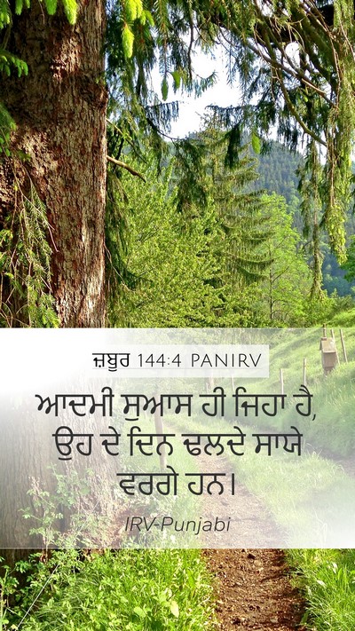 ਜ਼ਬੂਰ 144:4 PANIRV Bible Verse Image