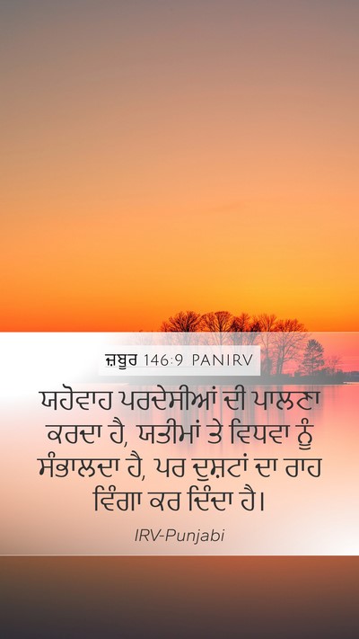 ਜ਼ਬੂਰ 146:9 PANIRV Bible Verse Image