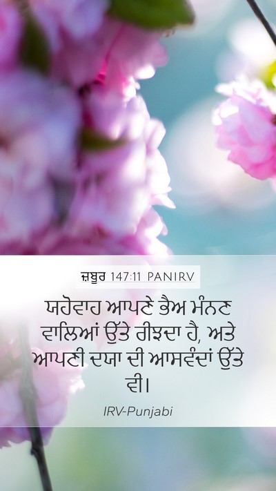 ਜ਼ਬੂਰ 147:11 PANIRV Bible Verse Image
